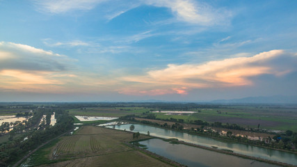 Fototapeta na wymiar rice fields in sunset time