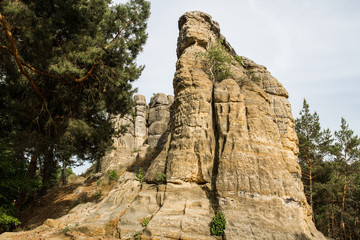 Sandsteinfelsen bei Halberstadt im Harz