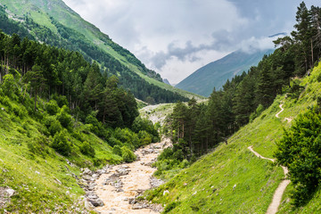 Fototapeta na wymiar Summer mountain landscape with pine forest and small rough river in cloudy weather before the rain. Irik gorge, Elbrus region, Russian Caucasus.