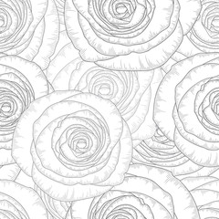 Monochrome seamless hand-drawing floral background with flower roses