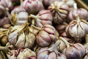 Knoblauch