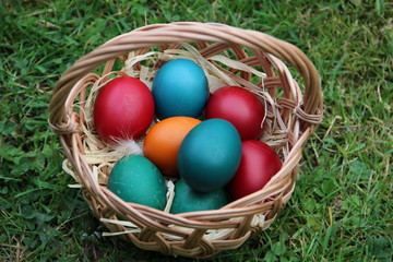 Eggs in a basket for easter