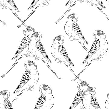 seamless pattern coloring with cute wavy parrot   illustration