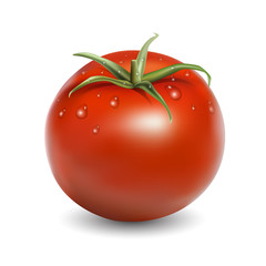 Fresh red tomato with water drops realistic vector illustration isolated on white background