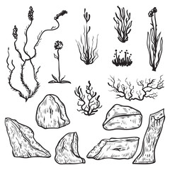 North tundra plants and icebergs. Black and white design elements in sketch style. Vintage hand drawn vector illustration