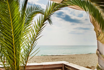 Palm tree and view of the beach, sea and sunny day, Leptokaria, Greece