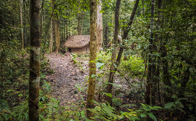 Traditional aboriginal hut in jungle