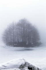 Fog over a lake with bare tree, water reflection and Snow scene. Tranquil scene 