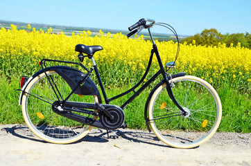 Fahrrad in der Natur