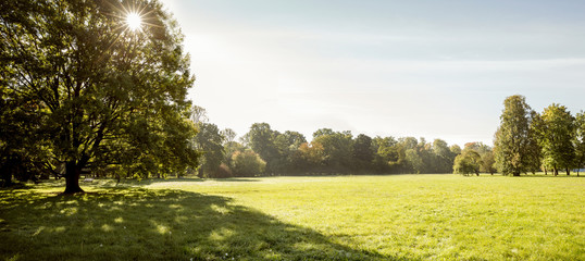 Panorama of city park