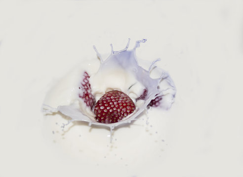 Strawberry falling into milk with splash