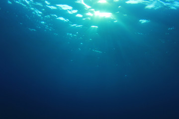 Fototapeta na wymiar Underwater blue ocean background with sunlight 