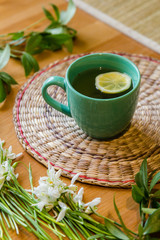 Black tea with lemon in green mug with snowdrops and spring plants background