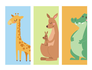 Obraz premium Cute zoo cartoon animals cards funny wildlife learn cute language and tropical nature safari mammal jungle tall characters vector illustration.