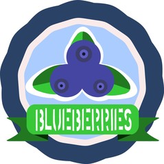 Obraz premium Blueberries retro vintage icon with ribbon.