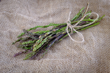 Bunch of raw wild asparagus