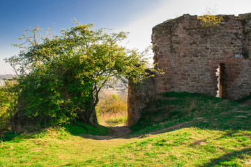 Die Burg Frauenberg ist die Ruine einer mittelalterlichen Höhenburg nahe dem Ort Frauenberg bei Marburg.