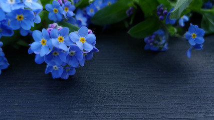 Forget-me-nots symbolic background