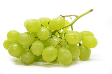 Fototapeta na wymiar Fresh green grapes