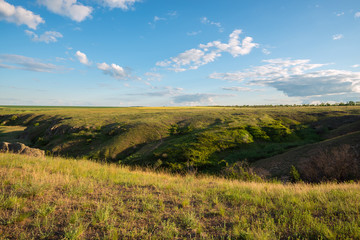 Fototapeta na wymiar Magic landscape of a green prairie