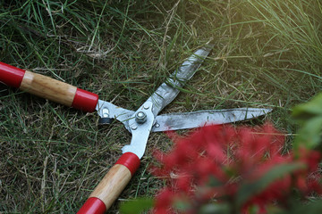 Cutting the grass grow in the garden.