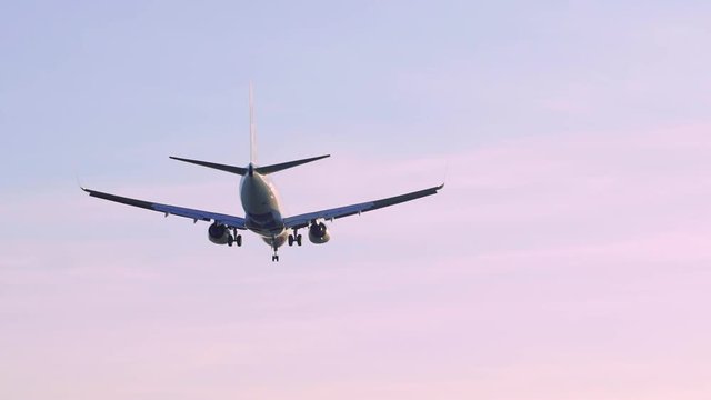 Rear view on big air jet landing in unknown airport, isolated on pink colored sky at evening sunset or morning surise time