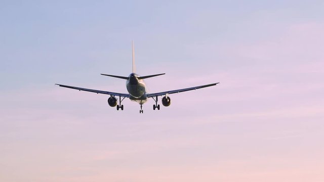 Rear view on big airplane landing in international airport hub, isolated on pink colored sky at evening sunset or morning surise time. Air jet appears and dissappears in center