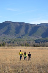 Cades Cove Mountains