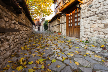 Fototapeta na wymiar Village stone street covered with yellow leaves