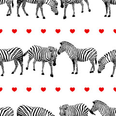 Fototapeta na wymiar Zebra with red heart seamless pattern. Wild animal texture. Striped black and white. design trendy fabric texture, vector illustration.
