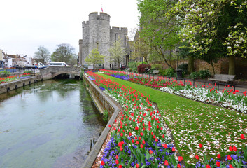 Obraz premium Westgate, which is the Medieval gate house area in Canterbury which is part of the city wall, the largest surviving in England.