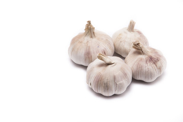 Garlics isolate on white background with space for wording