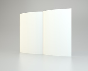 Blank white unfolded A4 paper crumpled. 3d rendering.