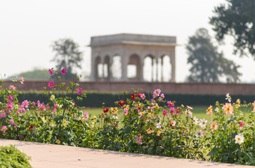 Naklejka premium Flowers in the Mugal Garden of the Red Fort in Old Delhi, India