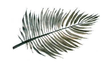 Palm leaf, Sketch. Illustration