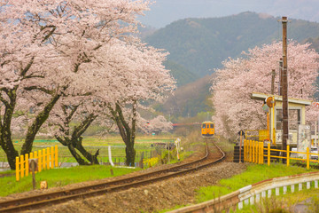 ローカル線の春