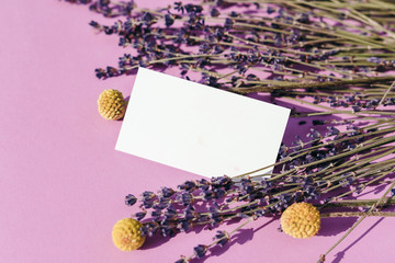 Business card mock up with lavender flowers on pink background