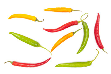 Colorful chili isolate top view