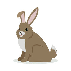 Hare Cartoon Vector Illustration in Flat Design