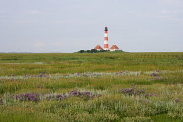 Fototapeta na wymiar North-sea coast with Westerhever Lighthouse