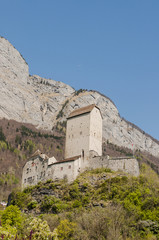 Sargans, Stadt, Schloss, Schloss Sargans, Alpen, Schweizer Berge, Sarganserland, St. Gallen, Frühling, Frühlingswanderung, Schweiz