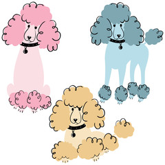 Poodle dogs
