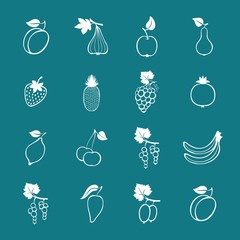 Set of vector fruits and berries. Hand drawn fruits and berries icons.