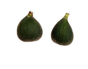 Fig