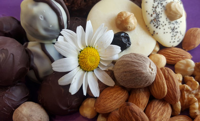 Obraz na płótnie Canvas almonds, nuts and chocolate