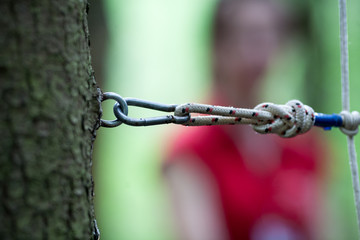 equipment for Hiking in the woods: a carabiner attached to the tree trunk