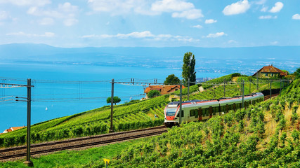 Train at railroad on Lavaux Vineyard Terraces Lake Geneva Alps