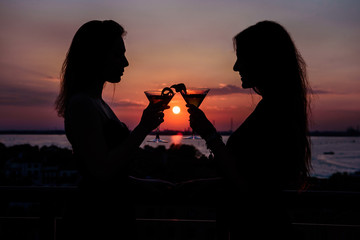 Silhouette of two girls at sunset with a cocktail in hand. They are making a toast. The sun is in the midst of two glasses. The girls are on the terrace of a building rooftop in Venice