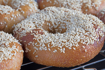 macro image of sesame bagels