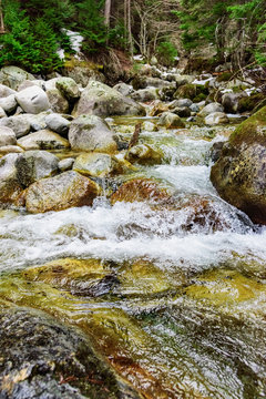 mountain river stones